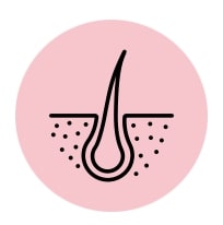 Lumin Theme